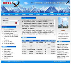 專(zhuān)業(yè)鑄就卓越 上海網(wǎng)站建設(shè)公司成功案例與信息技術(shù)咨詢價(jià)值